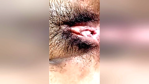 Indian hairy brunette with big bush is fucked on the bed