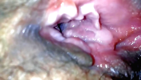 Indian slut makes me hard while taking off my panties