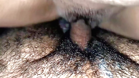 Indian hairy babe sucking my black dick and getting her pussy rammed