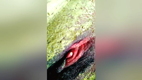 A sexy chick with a hot pussy gets fucked and her pussy is creampied