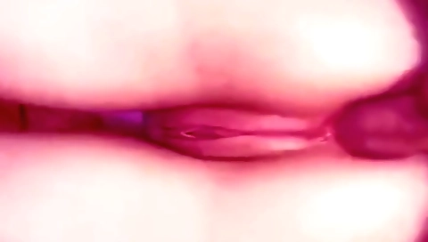 Tight stepsister anal sex blowjob in amateur xxx video